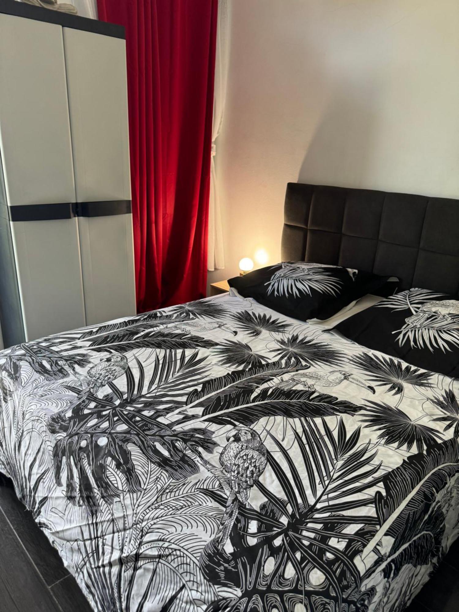 Bed and Breakfast Skys Location Pakehina Schoelcher Zewnętrze zdjęcie
